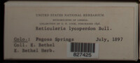 Image Associated With the Occurence